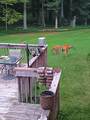 214 Sulpher Springs Road - Photo 43