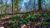 0 Mauldin Lake Road - Photo 8