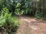 2394 S Highway 221 - Photo 8