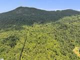 1220 Skyuka Mountain Road - Photo 28
