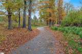 275 Dalmatian Drive - Photo 36