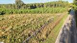 695 Young Road - Photo 9