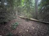 183 Walhalla Highway - Photo 5