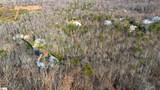 91 Roco Trail - Photo 10