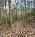 91 Roco Trail - Photo 5