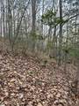 91 Roco Trail - Photo 6