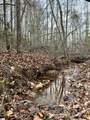 91 Roco Trail - Photo 7