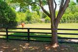 1242 Audubon Drive - Photo 32