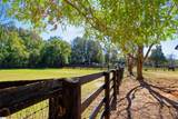 1242 Audubon Drive - Photo 34