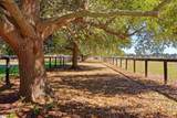 1242 Audubon Drive - Photo 42