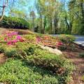 4 Creekside Way - Photo 3