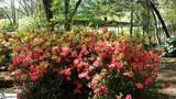 4 Creekside Way - Photo 6