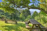 3605 Skyuka Mountain Road - Photo 29