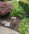 11 Spring View Lane - Photo 6