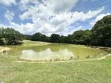 289 Deepwater Road - Photo 47