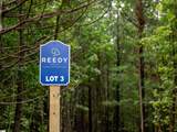 00 Terry Road - Photo 14