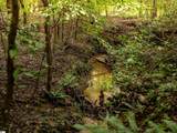 00 Terry Road - Photo 31