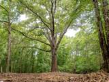 00 Terry Road - Photo 16