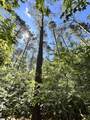 013 Sc - 413 Highway - Photo 1