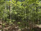 106 Dutchmans Pipe Trail - Photo 4