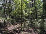 106 Dutchmans Pipe Trail - Photo 6