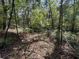106 Dutchmans Pipe Trail - Photo 7