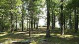 0 Southview Ledge Road - Photo 12
