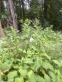 00 Arrowhead Drive - Photo 1