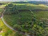  Charlie Rast Road - Photo 1