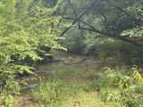 00 Little River Road - Photo 13