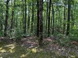 00 Lacey Fern Way - Photo 1