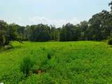 3961 Forrester Road - Photo 11