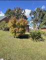 432 Savanna Plains Drive - Photo 1