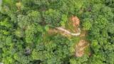 139 Old Sc 11 Highway - Photo 4