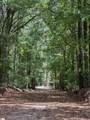 4200 Old Dobbins Bridge Road - Photo 13