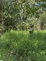 4200 Old Dobbins Bridge Road - Photo 20