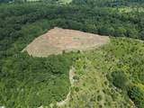 4200 Old Dobbins Bridge Road - Photo 23