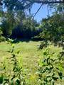 117 Marion Street - Photo 6