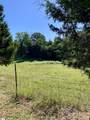 117 Marion Street - Photo 7