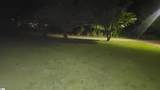 4 Bagwell Avenue - Photo 3