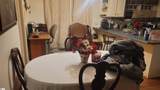 4 Bagwell Avenue - Photo 5