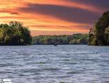 557 Hydrangea Street - Photo 10