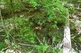 912 Watercrest Road - Photo 38