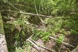 912 Watercrest Road - Photo 39