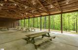 425 Tiger Lane - Photo 35