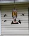 116 Dorothy Lane - Photo 47