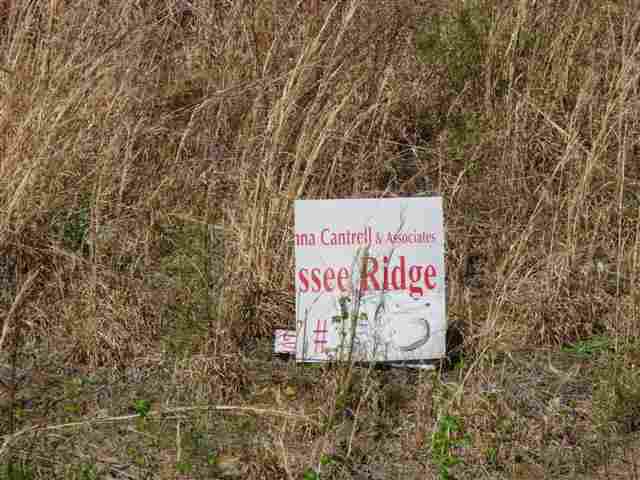 N-43 Jocassee Ridge - Photo 15