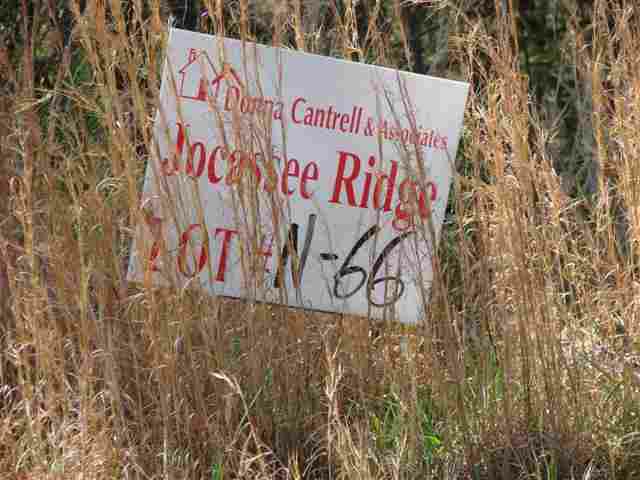 LOT N-66 Jocassee Ridge - Photo 9