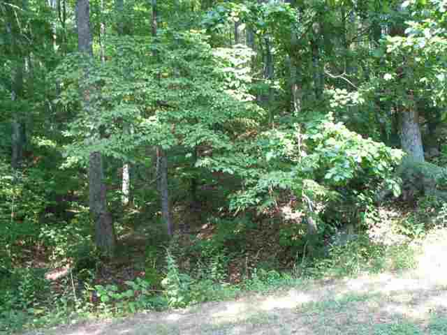 LOT 111 Plumley Summit Road - Photo 1