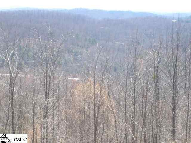 501 Blue Bonnet Trail - Photo 1